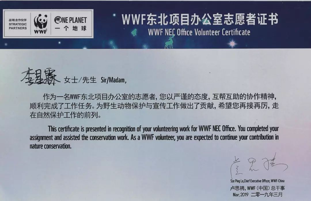厉害了会计学子国奖篇李星霖