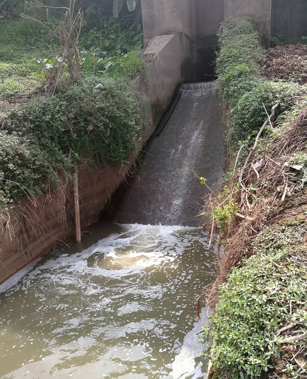 不忘初心攻坚克难坚决守护百姓大水缸崇左市全面完成县级水源地环境