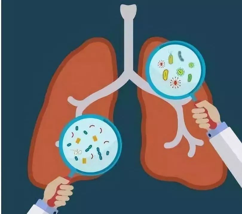 专家提醒|秋风起病来袭 中西医专家支招轻松应对呼吸系统疾病_呼吸道