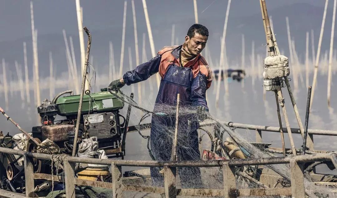 三分天注定,七分靠打拼,让人匪夷所思的闽南人!_台湾