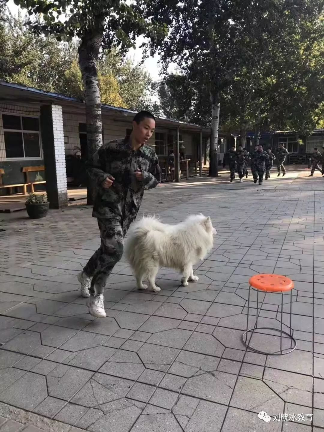 来自训练现场的报道