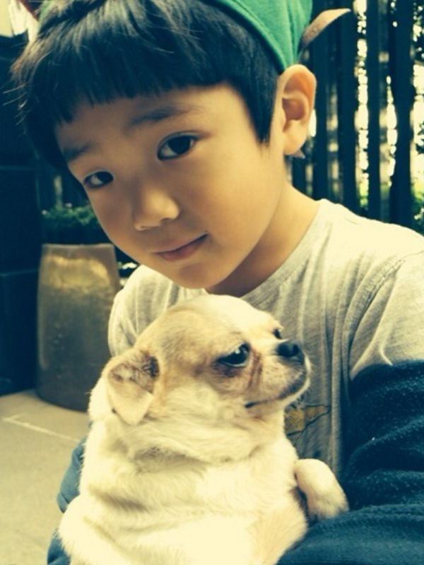 曹格儿子才是"整容式"长大,曾是最帅小正太,如今近照撞脸杨迪!