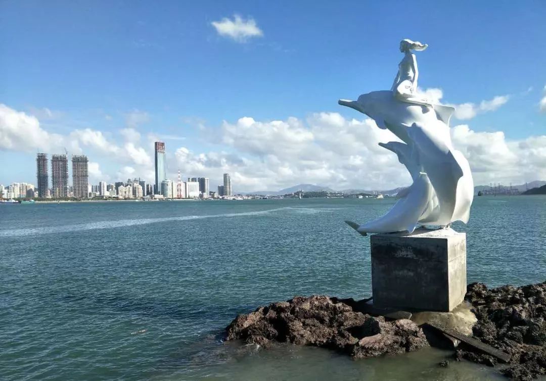 厦门有座海豚医院很多人不知道还能为智残儿童启智