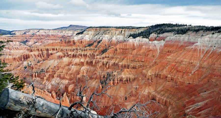 老板电器发声明容声冰箱推官微,皆因李逵被李鬼逼上梁山-家电圈官网