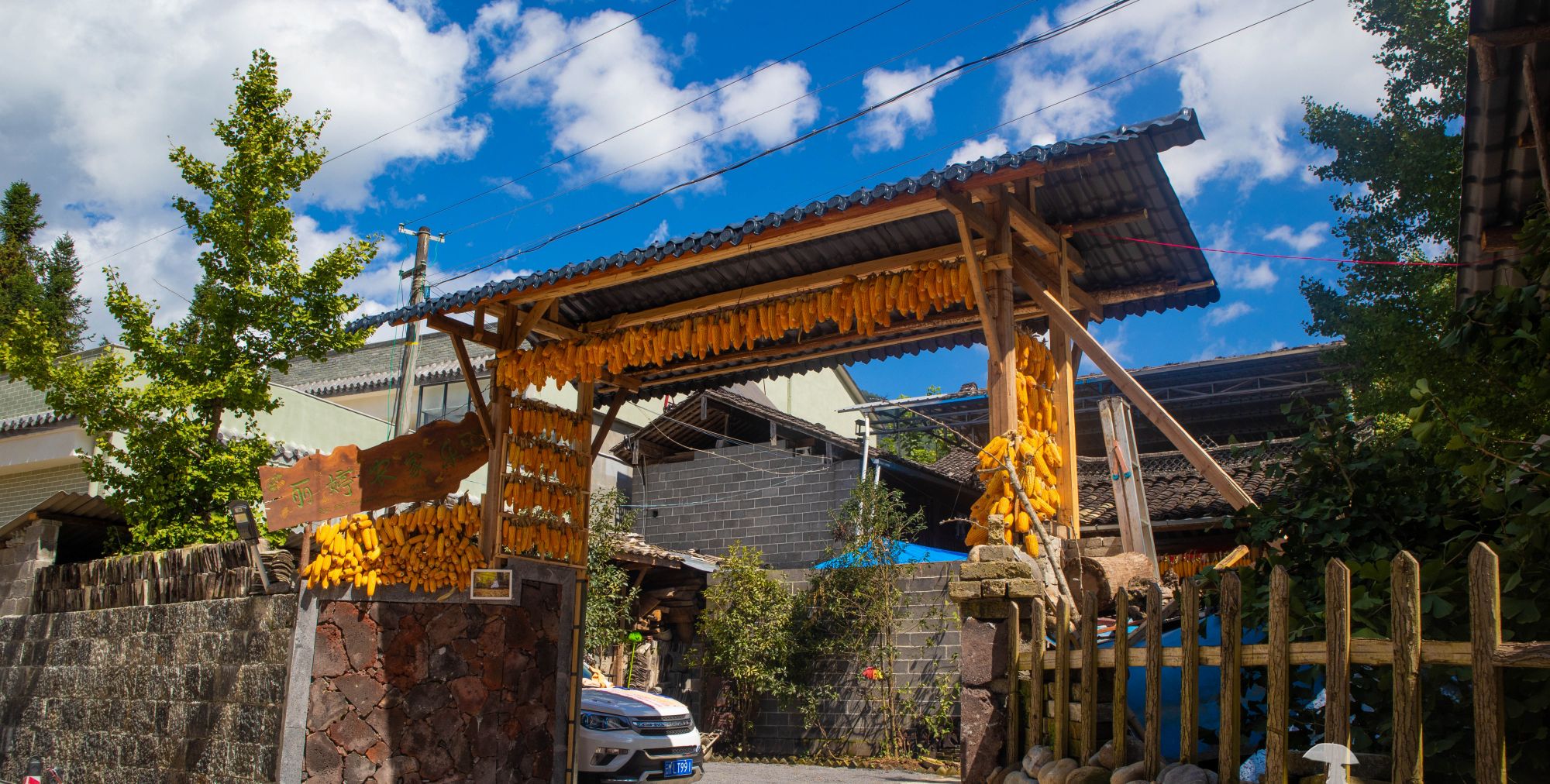 彩云之南固东镇里的银杏把秋色表现出了另外一重境界