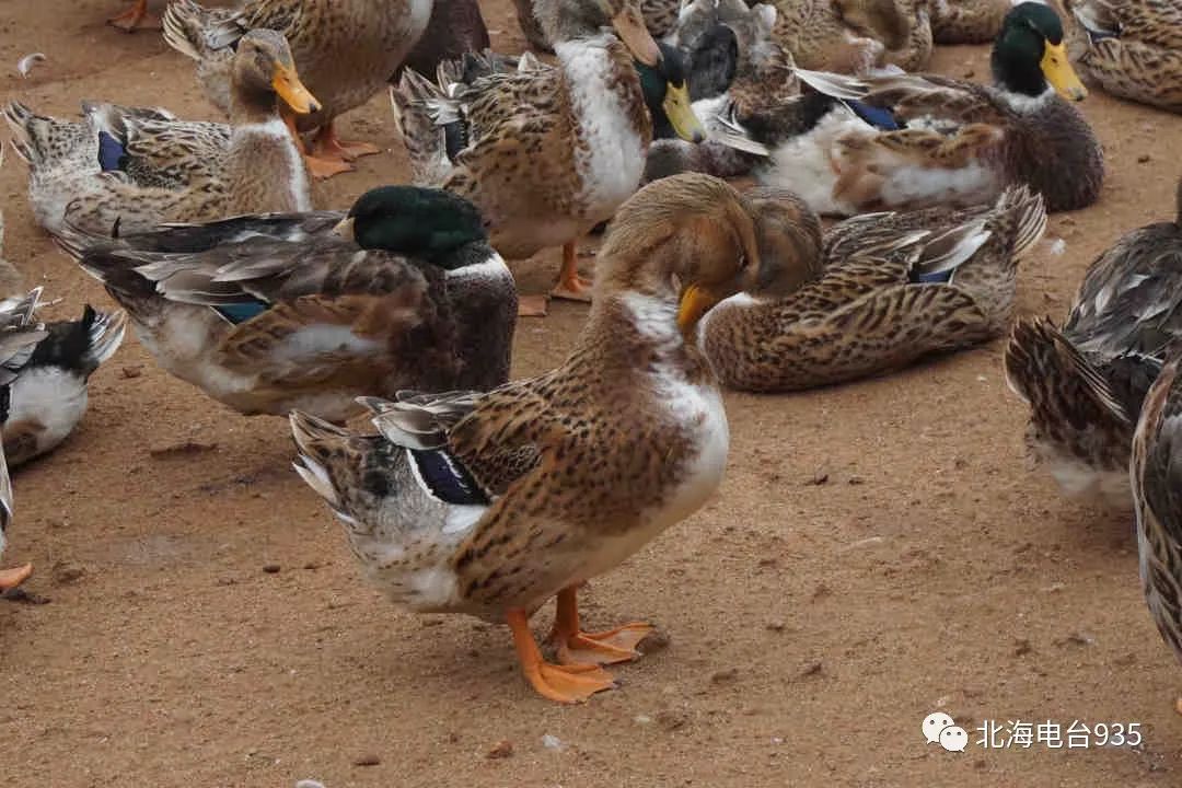 陈福斌心中有梦想脚下有力量