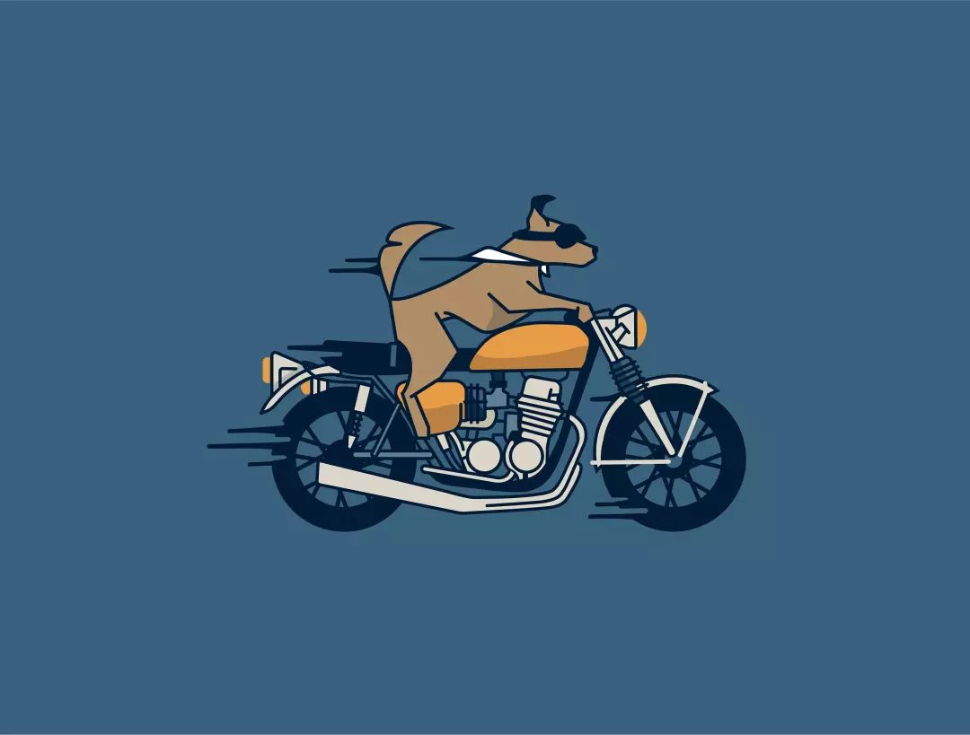 山东一19岁男子白天刚领摩托车驾驶证晚上就超速行驶撞上路牙石死亡