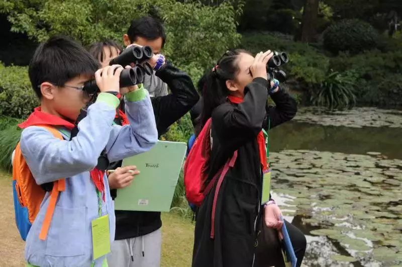 杭州市举办第十届小学生观鸟赛