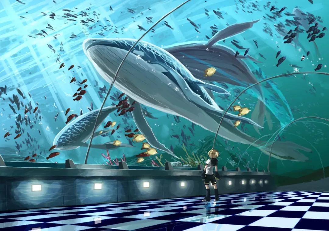 鲸鱼动漫壁纸唯美高清图片