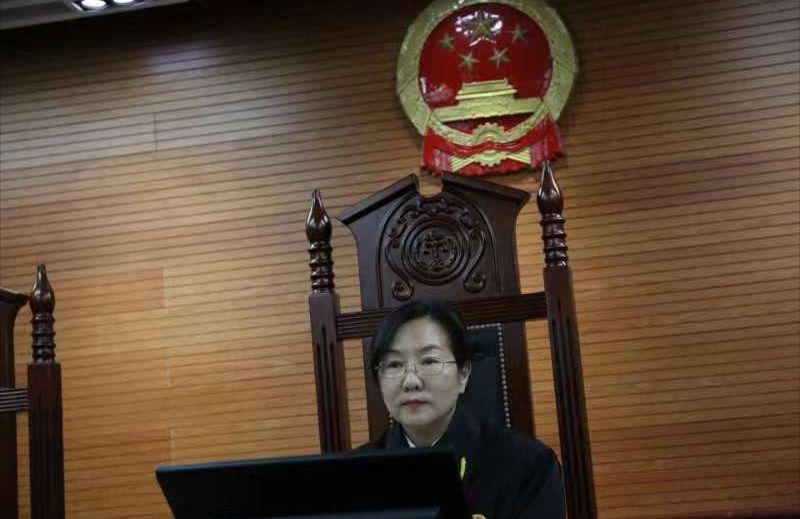 我们都是追梦人刑事审判台上绽放的铿锵玫瑰