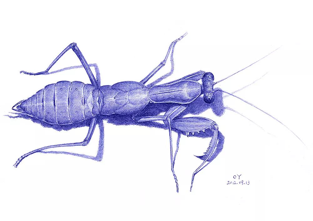 两块钱的圆珠笔画出了市值百亿的牛华为都找他合作曾是网瘾少年的他