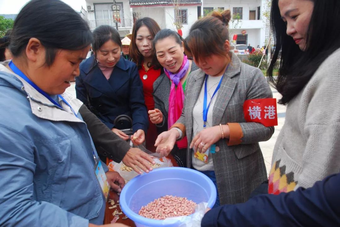 麻屋子 红帐子 剥出个白胖子套个大鸭子抱回家争先恐后一声吼呀骑行