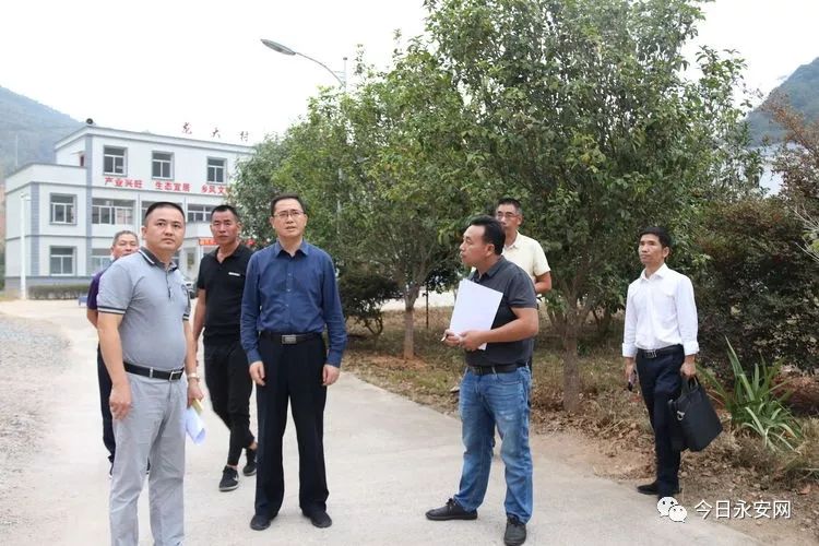 永安市市长温欣传到贡川镇龙大村开展调研工作