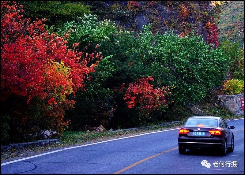 色彩斑斓秋色正浓的怀长路