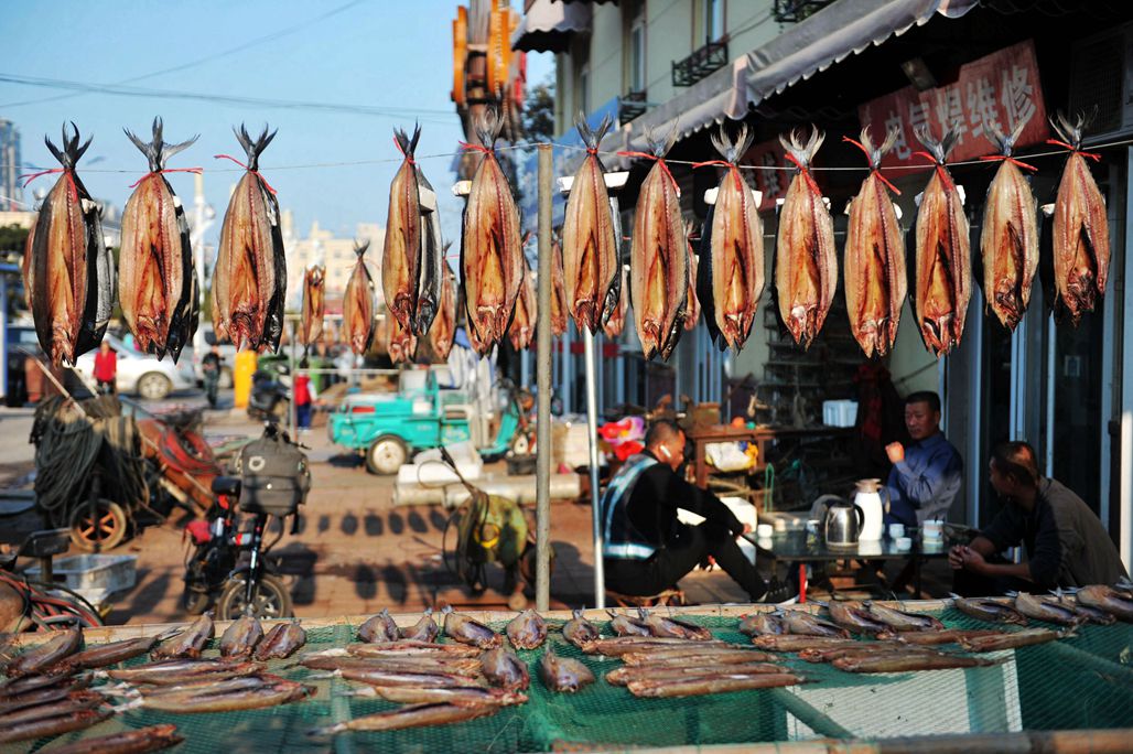 霜降过后,青岛海边晒鱼干,海鲜鱼晒干难得的美味