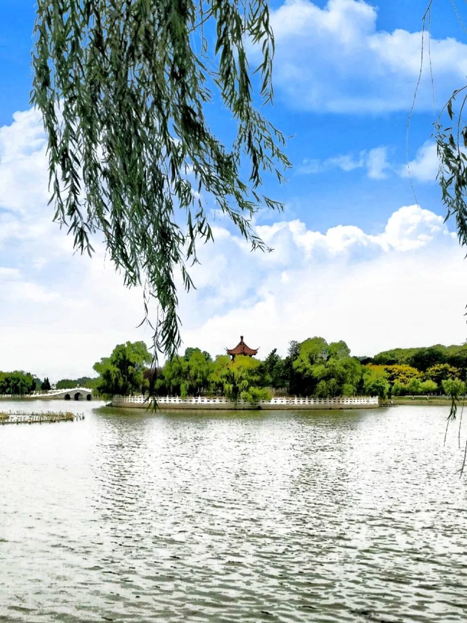 淮南最美风景随手拍摄影作品展示