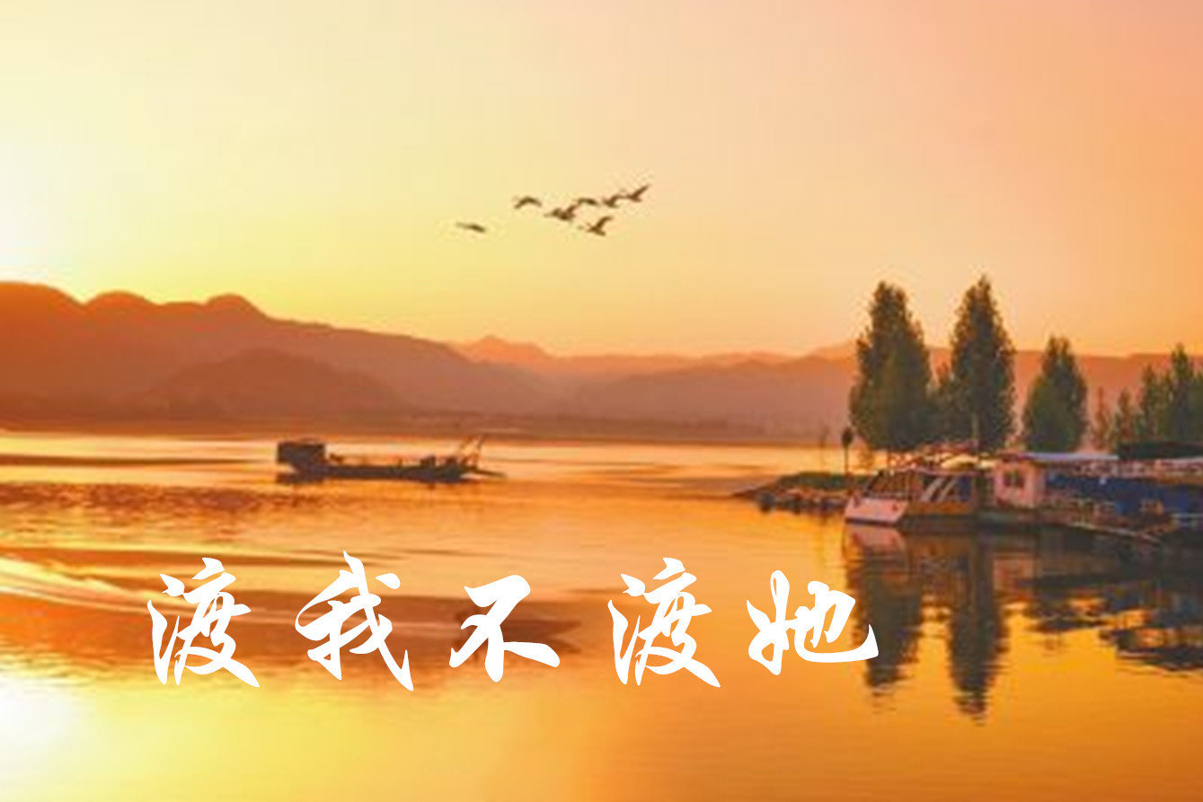 网络红歌渡我不渡她苏谭谭