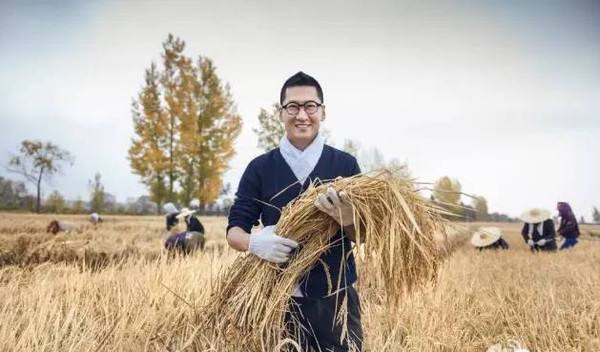 独家个人ip的变现从周杰卖周先生天价大米我们学到了什么