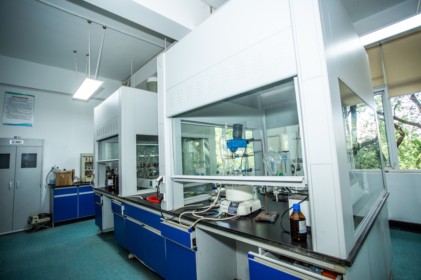 探访|山茶故事研发基地——国家油茶工程技术研究中心