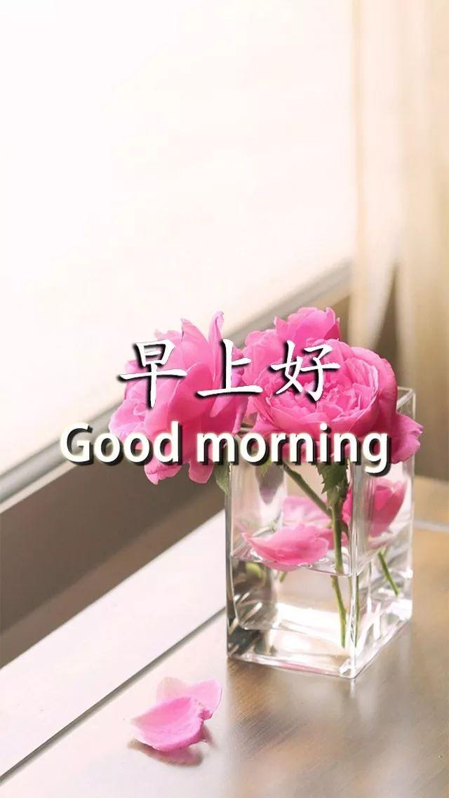 很多失败不是因为能力有限而是因为没有坚持到底早安