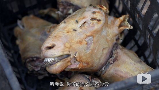 什么恶毒儿子让亲妈喂鳄鱼跳崖