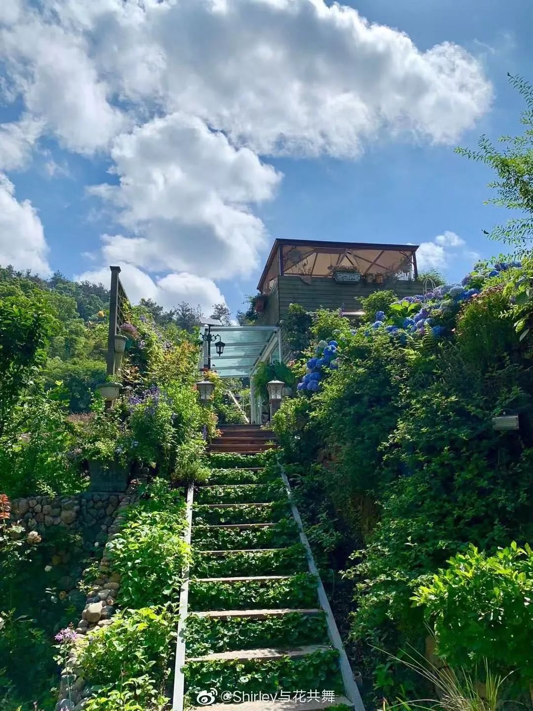 不赚钱只种花适合逃离的5家花园民宿刷爆抖音