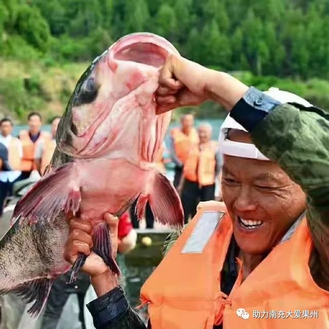 惊喜媒体促销为南部升钟湖有机鱼引来900多万元大单