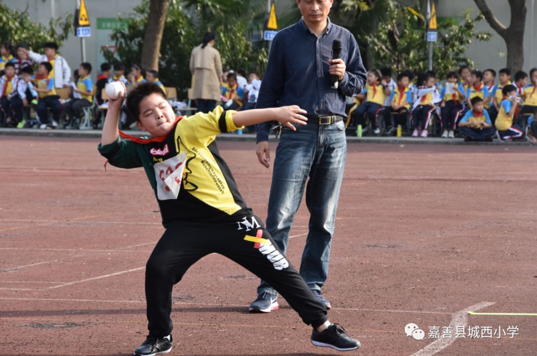 嘉善县城西小学图片