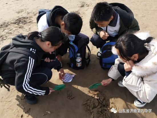 考察探究|济南九中学子赴黄河岸边进行野外学习考察