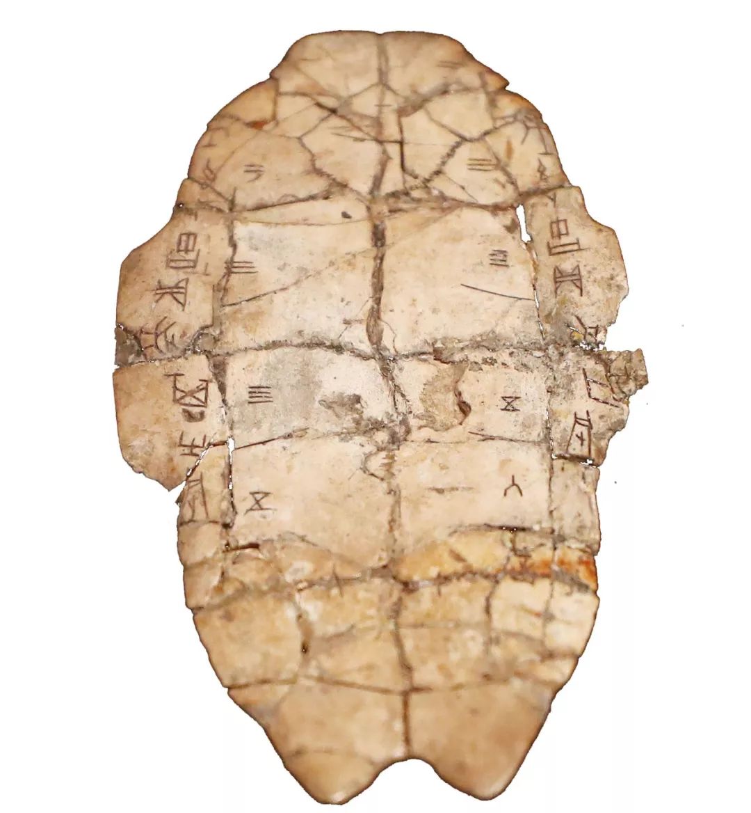 龟甲一字悬赏10万