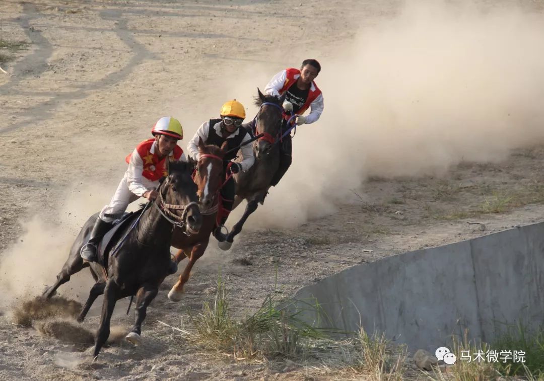 這裡的比賽特點是,賽馬進行分組跑,正常情況下,三匹馬一組,淘汰最後