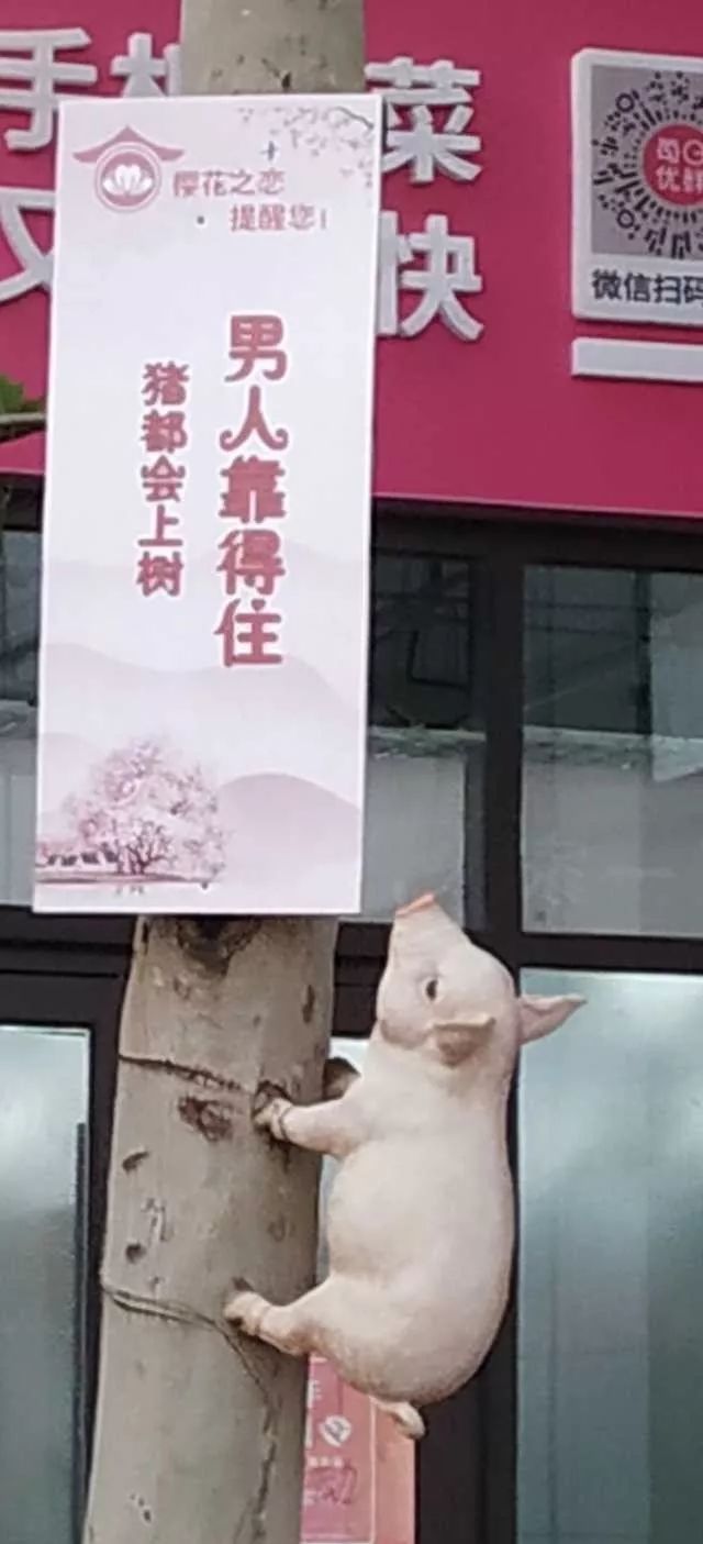 杠精专用表情包 这是什么奇葩鞋子 我还以为我看错了 男人果然靠不住
