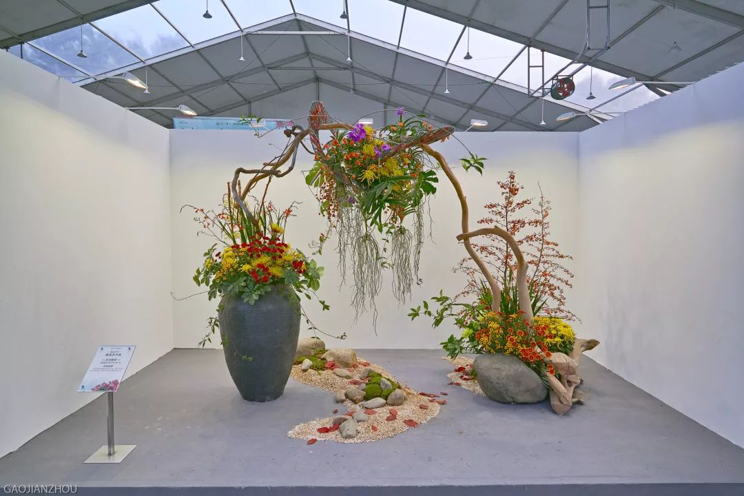 菊好看难得一见13位国家级插花大师作品惊艳亮相全国菊展