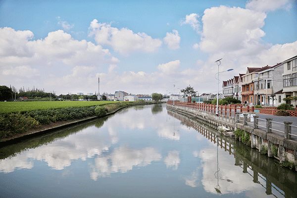 海上新力量浦东新动力光影新记录老港镇新的社会阶层人士联谊会