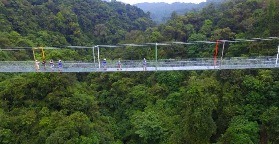 中國旅遊景區大全之廣西融水雙龍溝原始森林景區