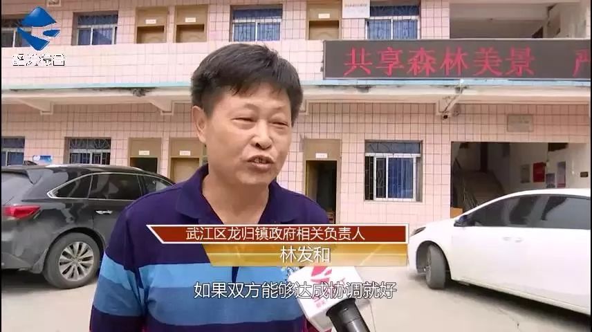 追踪价值23万的雪鲮意外死亡水质监测报告已出谁之过