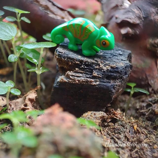 lego乐高人仔美图欣赏每天除了拍照还要吃美食的人仔