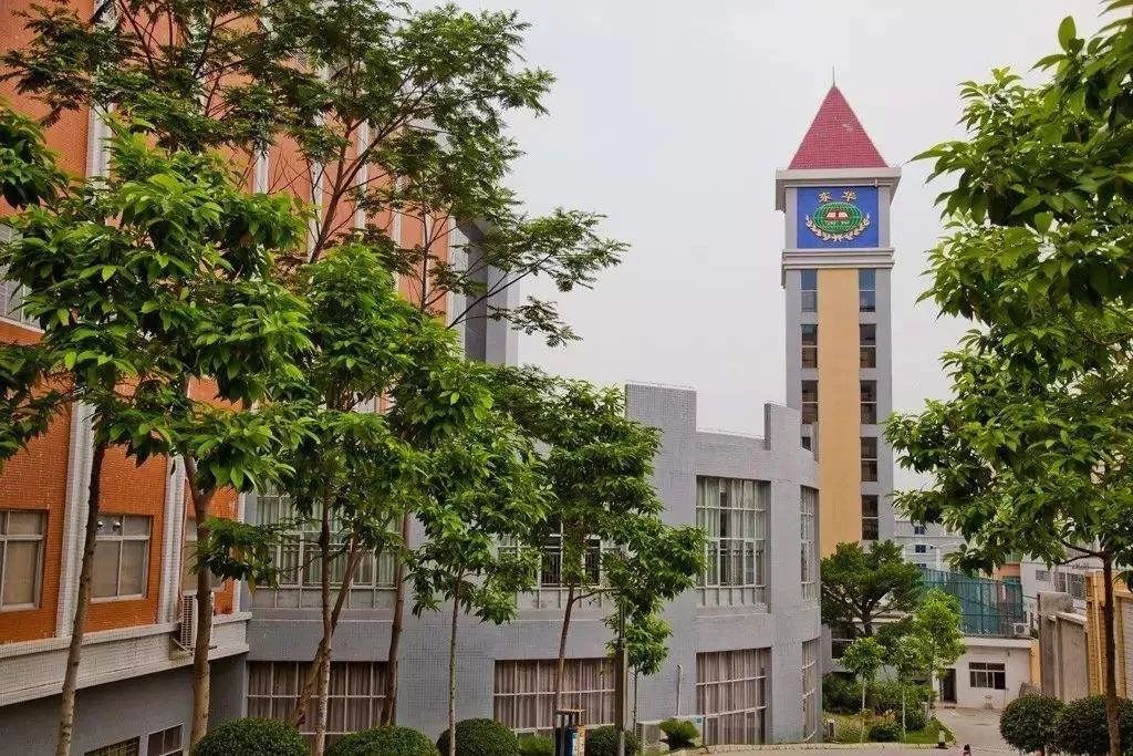 东华人你为什么这么秀