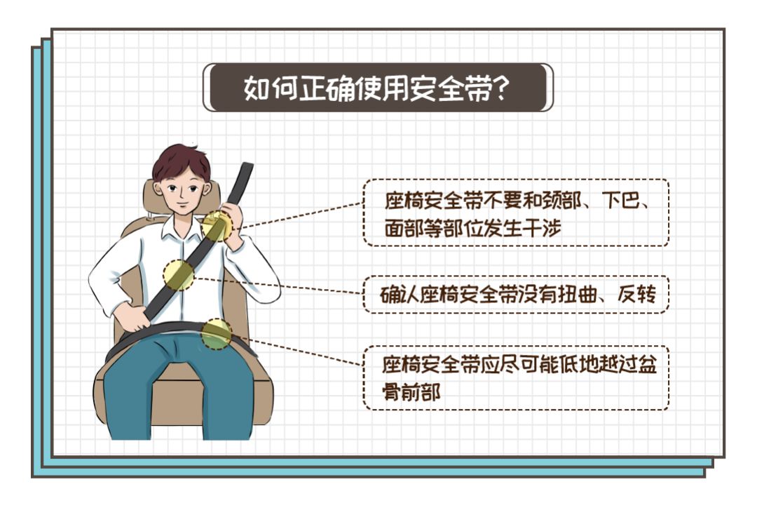 老司机别大意!_安全带