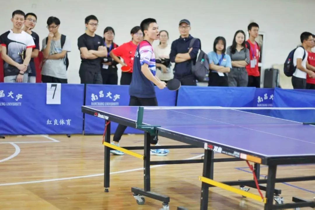 白帆之中的弧线优美前湖之畔的阳光正好运动员们的坚韧品质南昌大学第