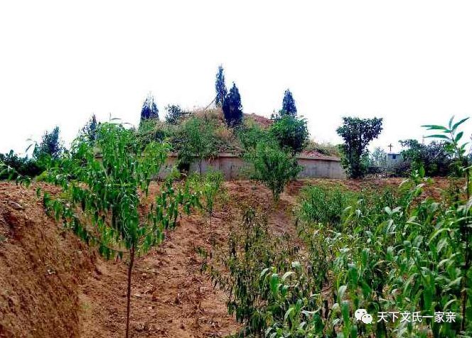 【文氏溯源】探秘北宋第一名相——文彦博墓