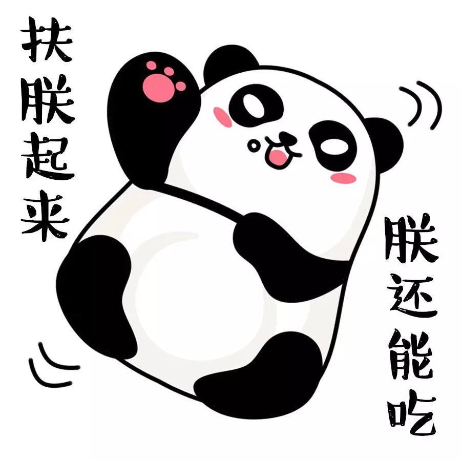 国际熊猫日:何以解忧?唯有滚滚表情包!