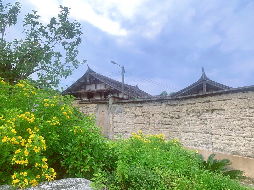 自驾70公里潜入宁德密林古寺赴一场千年之约