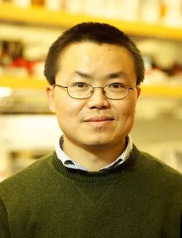 我是前中人丨殷亚东:全球材料学顶级专家_化学