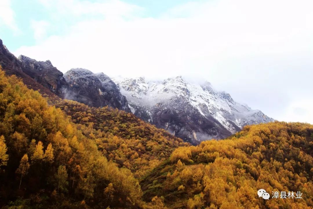 漳县分水岭的金秋邂逅2019年的第一场雪