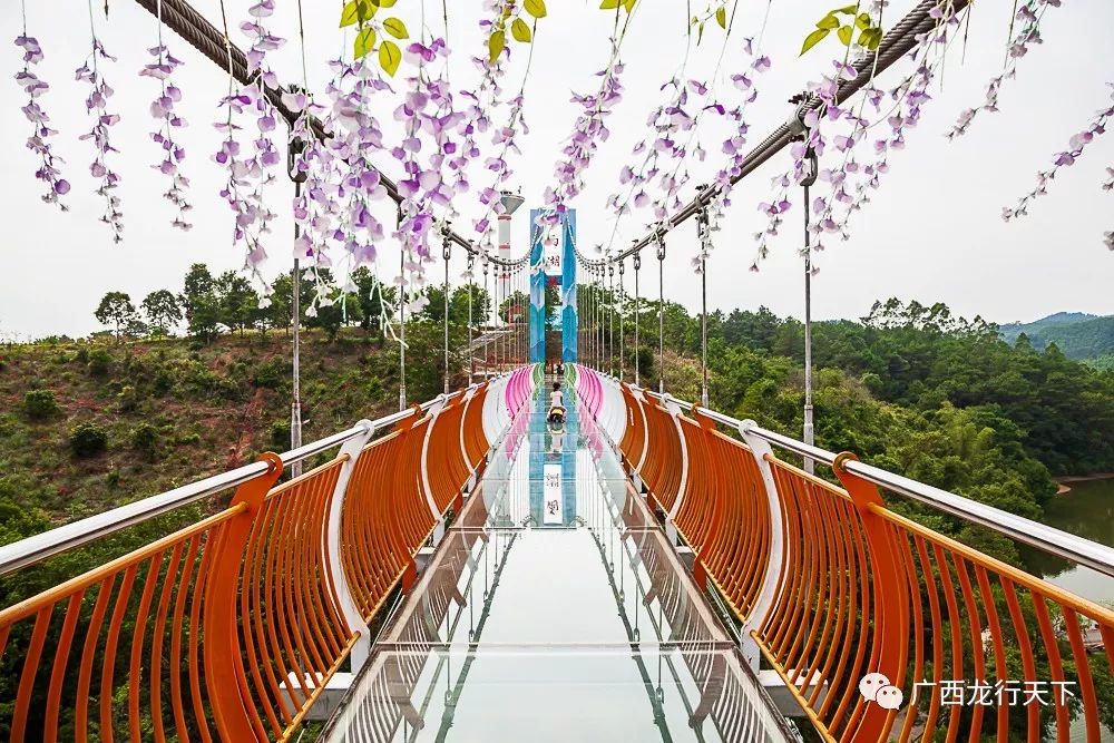 行走花雨湖7d彩虹玻璃桥,体验人在空中走如在云端游的美妙