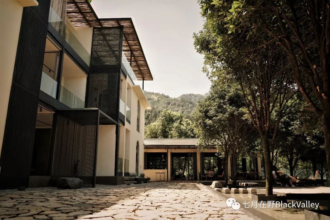 走进黑山谷感受七月在野