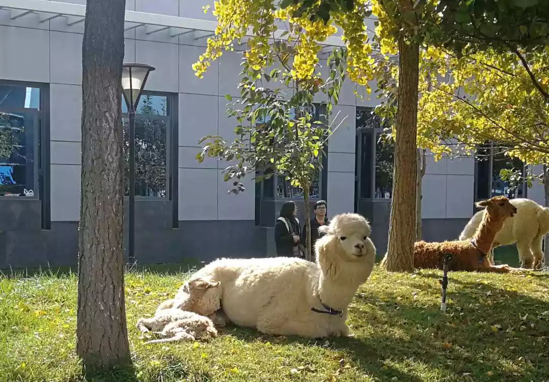 喜事连连 | 东方时尚又添新成员