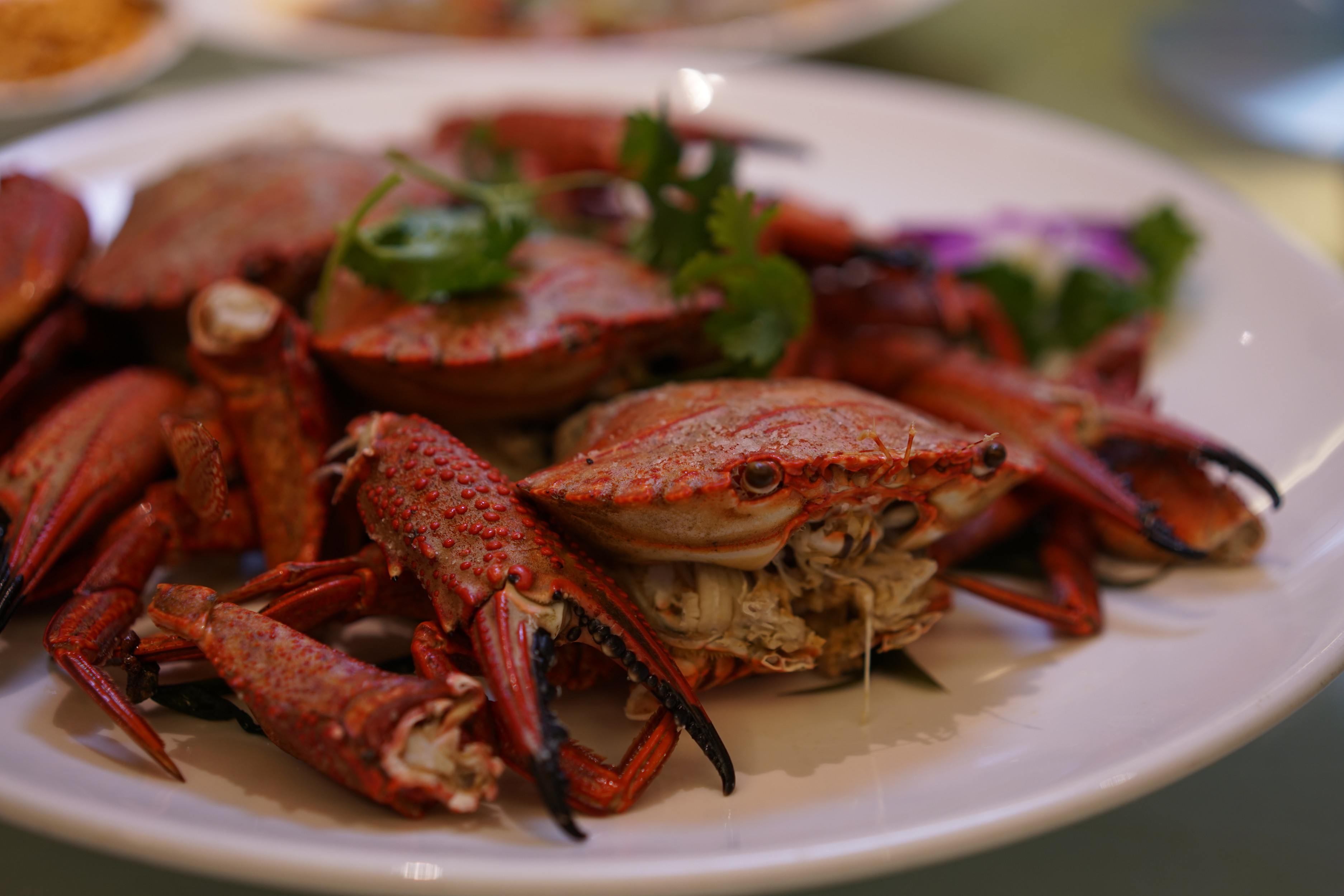 中国美食界之"貂蝉",越是危险越令人垂涎,绝大部分人不敢尝试