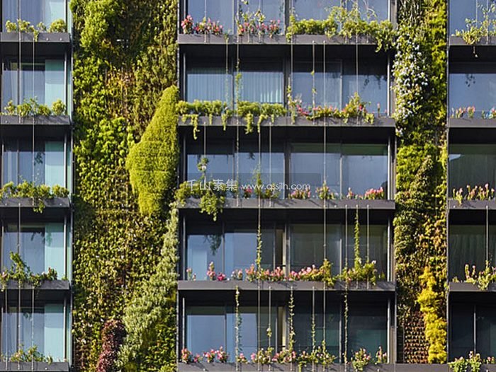 植物墙与建筑的完美融合